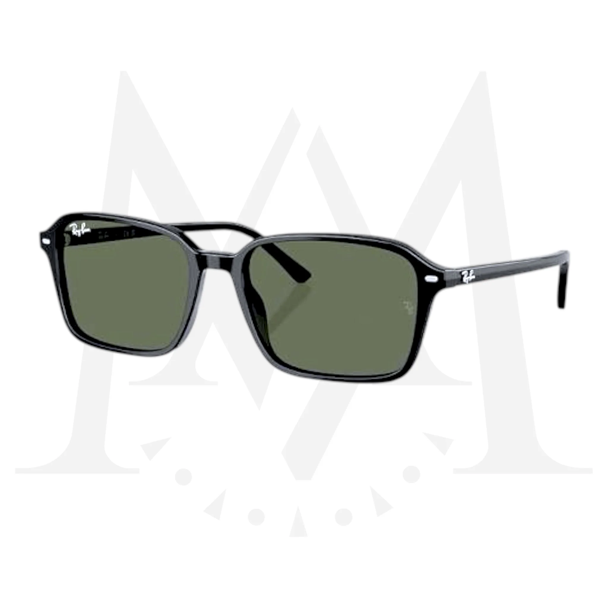 Lentes Ray Ban RB2231 Raimond Verde G-15