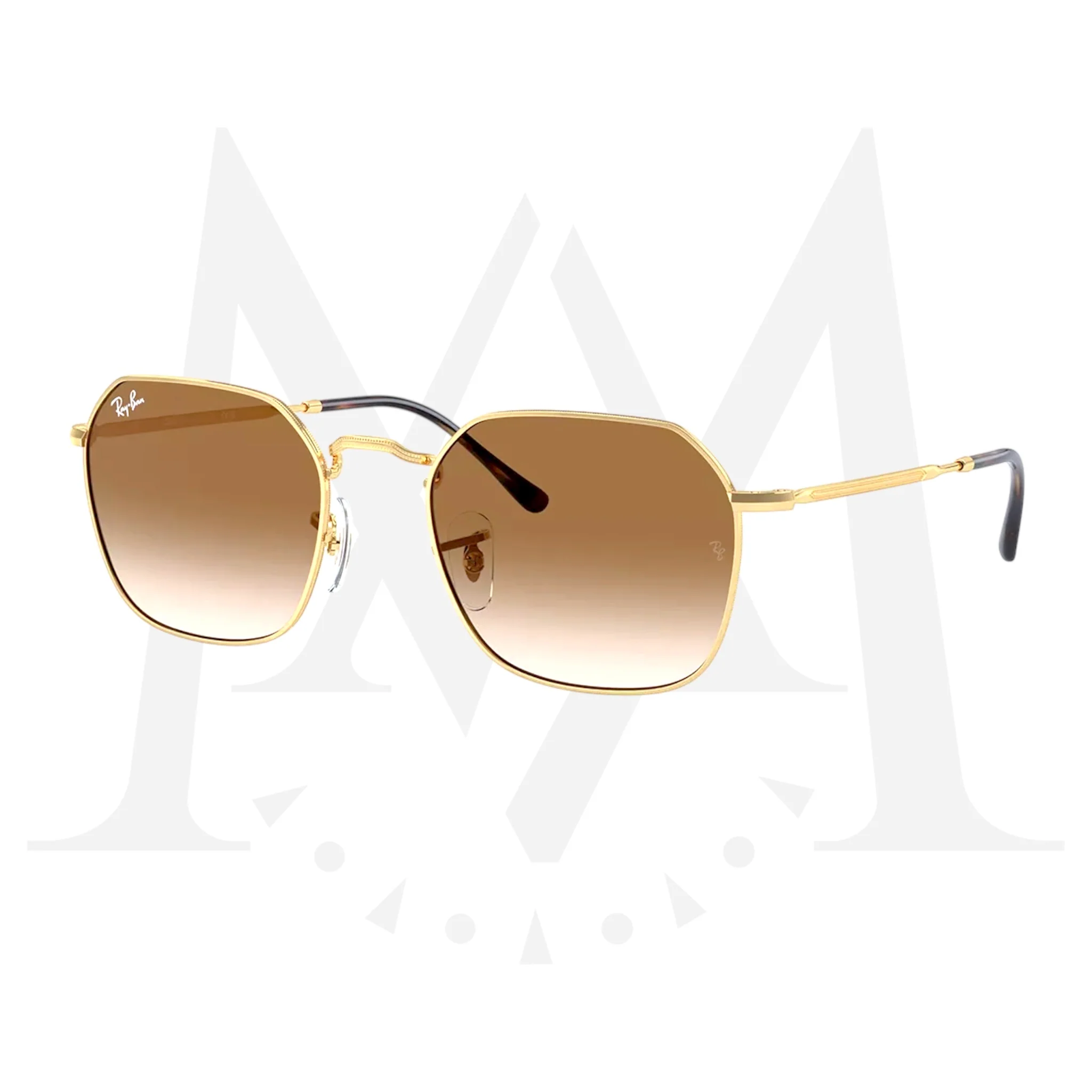Lentes Ray Ban RB3694 Jim Marrón